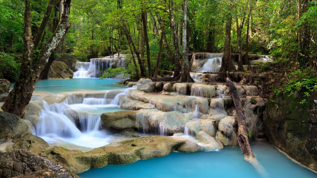 رودخانه-جنگل-منظره-طبیعت
